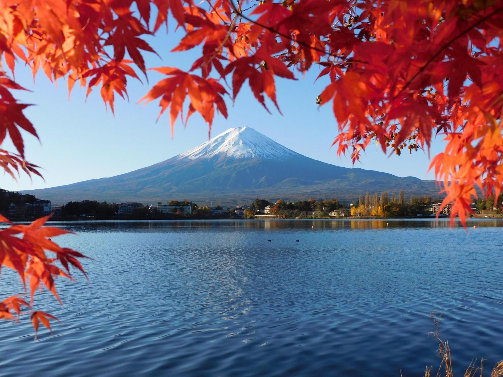 Kawaguchiko Inn Yesterday فوجيكاواجوتشيكو المظهر الخارجي الصورة